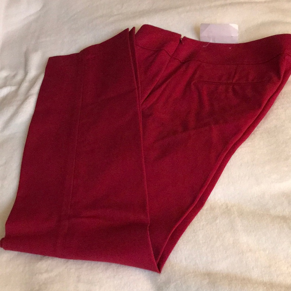 NEW! Ann Taylor Loft Kate Classic Pants